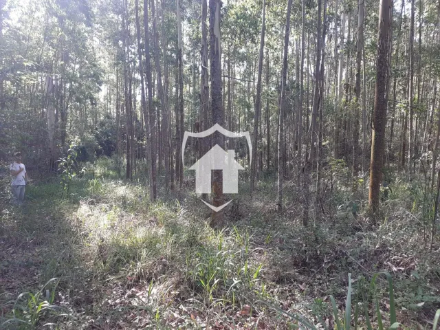 Área rural, foto 2