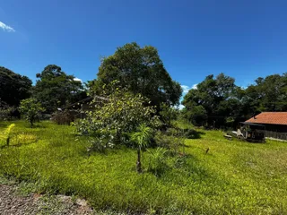 Vista externa do terreno com grama verde e vegetação densa sob um céu azul.