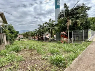 Vista externa de um terreno com vegetação alta e caminho de concreto.