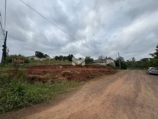 Vista da propriedade com estrada de terra e vegetação alta.