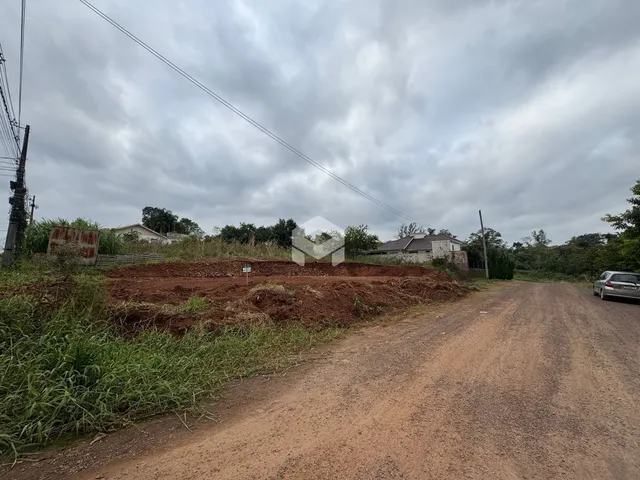Vista da propriedade com estrada de terra e vegetação alta.
