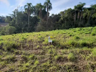 Campo de grama com vegetação densa ao fundo.