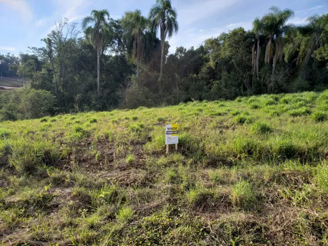 Campo de grama com vegetação densa ao fundo.