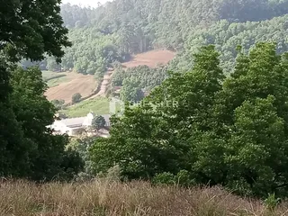 Área rural, foto 6