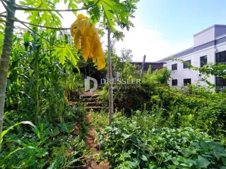 Casa com 4 dormitórios, foto 15