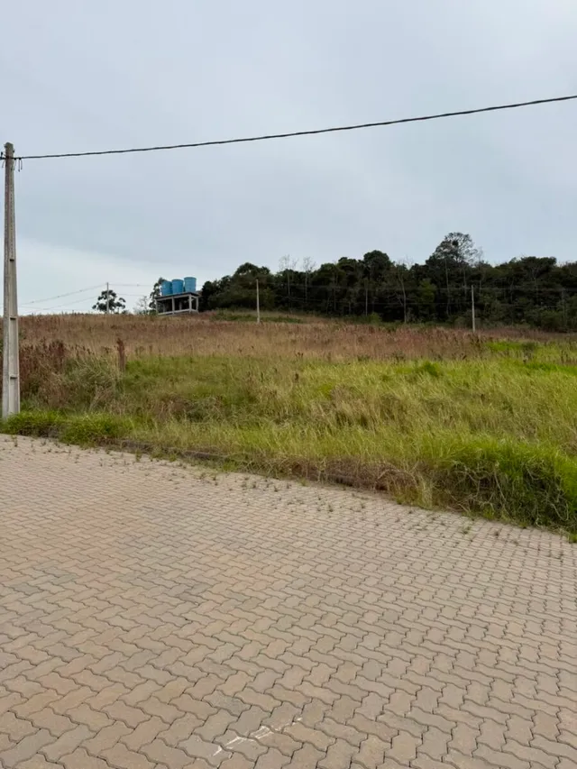 Terreno, foto 2