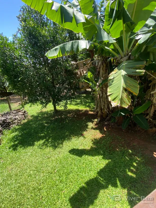 Casa com 2 dormitórios, foto 5