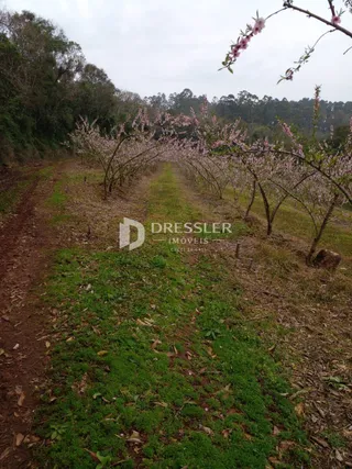 Área rural, foto 6