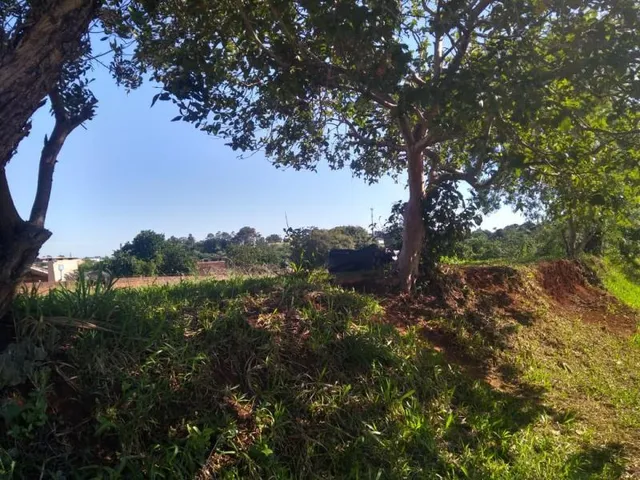 Terreno, foto 3