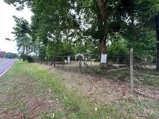 Área rural, foto 5