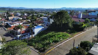Vista aérea de uma área residencial com vegetação no primeiro plano em Lajeado.