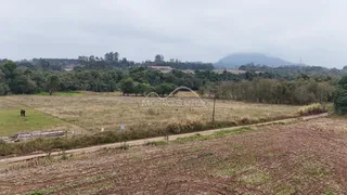 Paisagem rural com campo seco e estrada de terra em Lajeado.