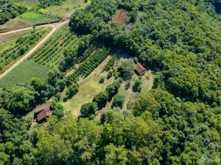 Área rural com 4 dormitórios, foto 52