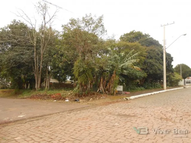 Terreno, foto 3