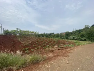Terreno, foto 3