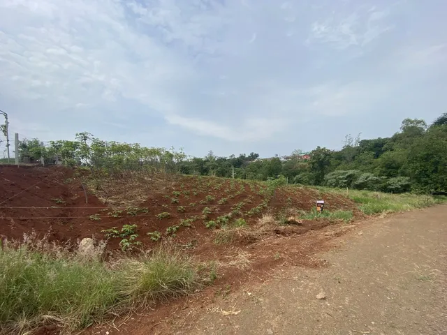 Terreno, foto 3