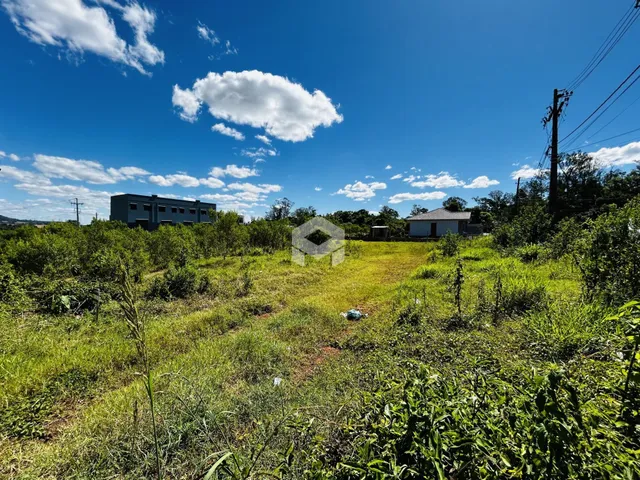 Vista aérea de um terreno com vegetação densa e edifícios ao fundo.