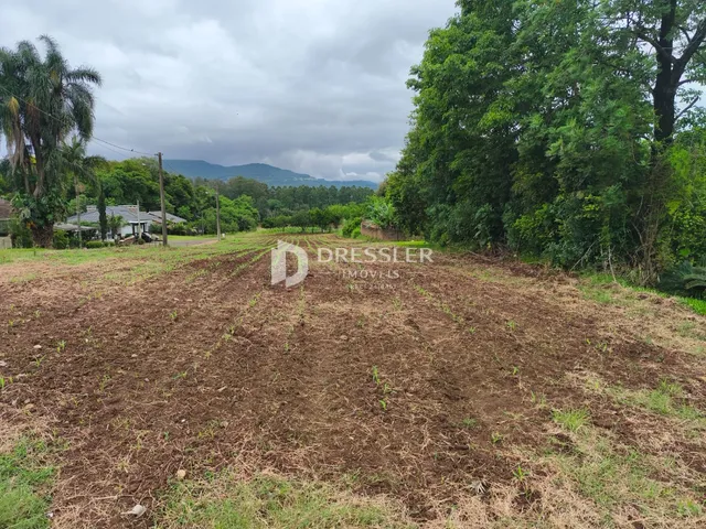 Terreno, foto 3