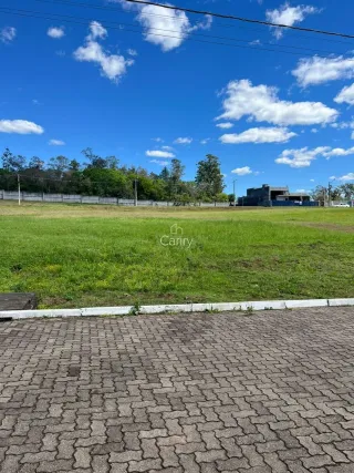 Terreno, foto 12