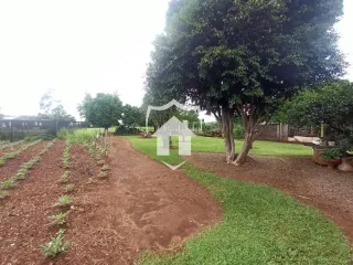 Casa com 3 dormitórios, foto 7