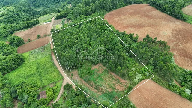 Vista aérea de um terreno com vegetação densa e áreas de cultivo na região de Lajeado.