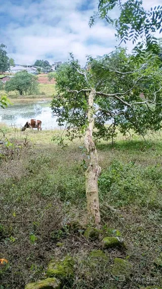 Área rural, foto 1