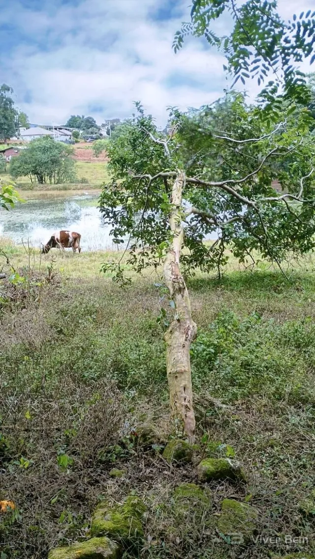 Área rural