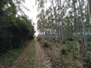 Área rural, foto 8