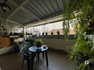 Vista de uma área externa com muitas plantas em uma residência.