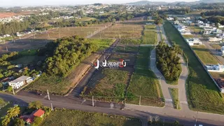 Terreno, foto 7