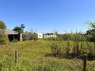 Vista externa de um terreno com vegetação alta sob céu azul.