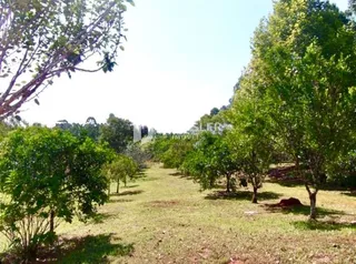Área rural com 3 dormitórios, foto 35