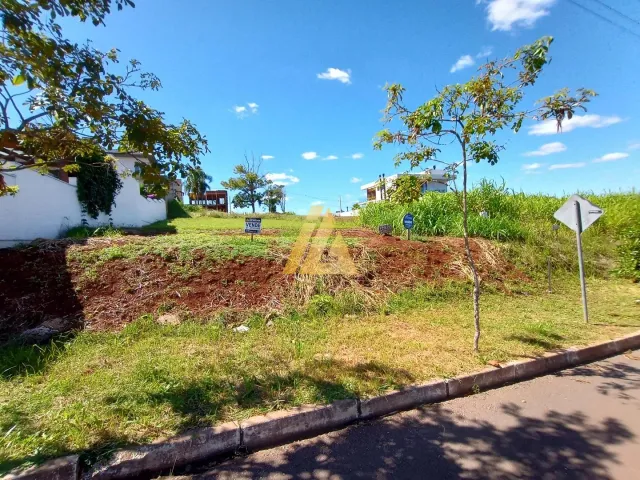 Terreno
