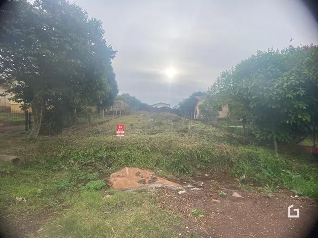 Terreno, foto 2