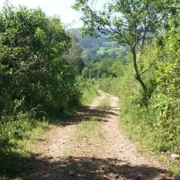 Área rural, foto 6