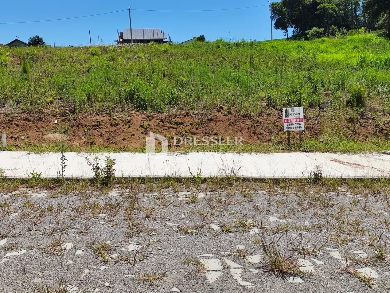 Terreno, foto 1