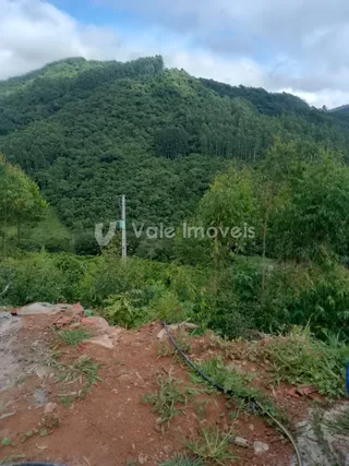 Área rural com 2 dormitórios, foto 18