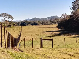 Área rural com 4 dormitórios, foto 29