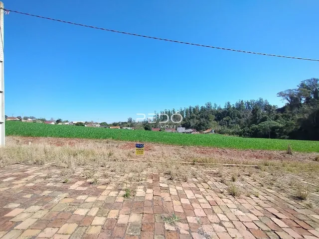 Terreno, foto 4