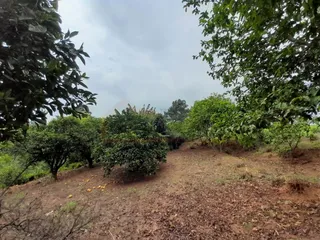 Área rural com 4 dormitórios, foto 12