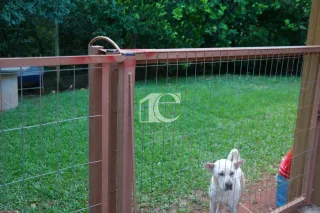 Casa com 3 dormitórios, foto 6