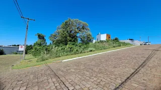 Terreno, foto 3