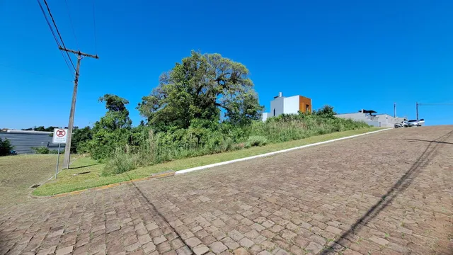 Terreno, foto 3