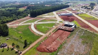 Terreno, foto 6