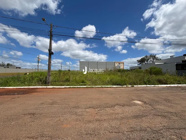 Vista externa da propriedade com vegetação alta e uma estrada de terra no primeiro plano.