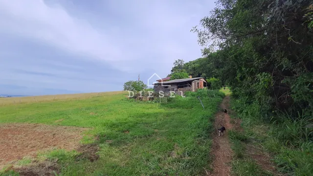 Área rural com 3 dormitórios, foto 5