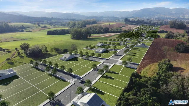 Terreno, foto 3