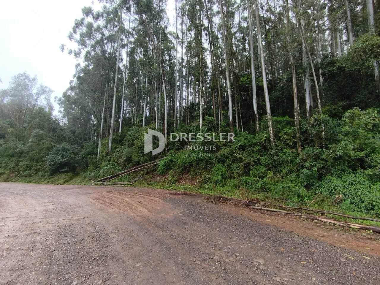 Área rural, foto 1