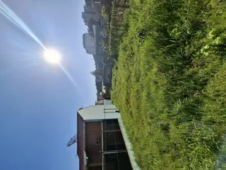 Terreno, foto 2