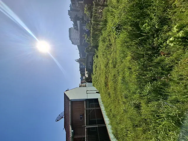 Terreno, foto 2